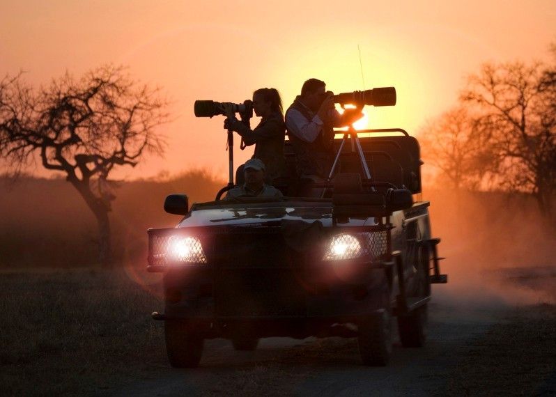 Il fascino del safari sudafricano nel Kruger National Park. ©Tetra Images/Getty Images
