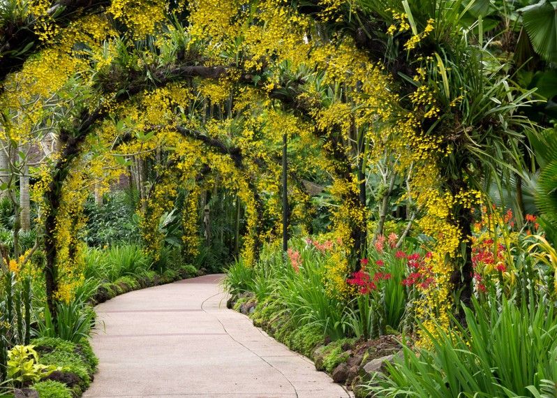 Il giardino delle orchidee, all’interno del giardino botanico di Singapore.
©Janelle Lugge/Shutterstock