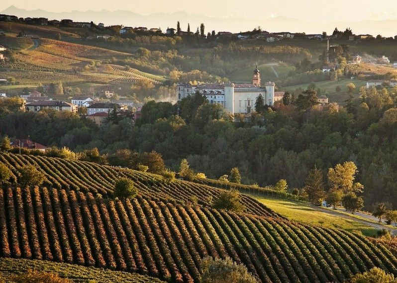Il paesaggio delle Langhe a Costigliole d'Asti, Piemonte. ©Daniela Pelazza/Shutterstock