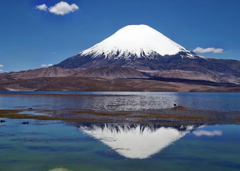 Il vulcano Parinacota si riflette nel Lago Chungara, Cile