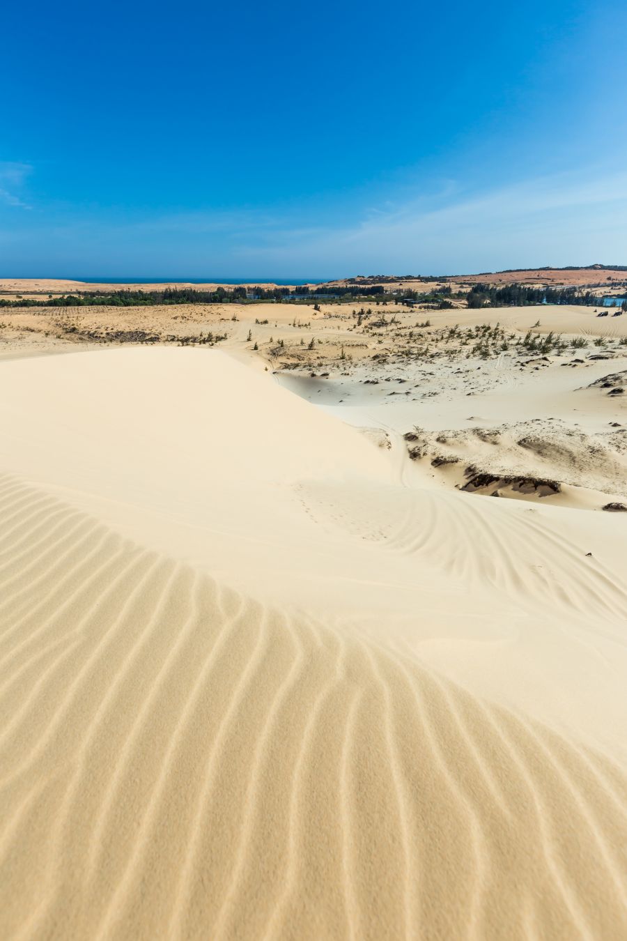 Mui Ne è un paesaggio davvero unico © BlackAkaliko / Shutterstock
