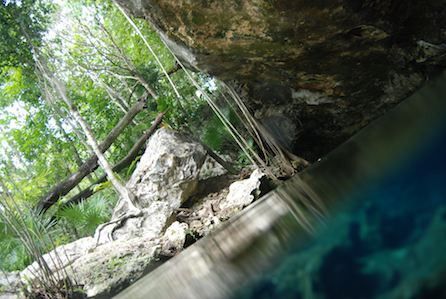Ingresso di un cenote. © Akumal Dive Center