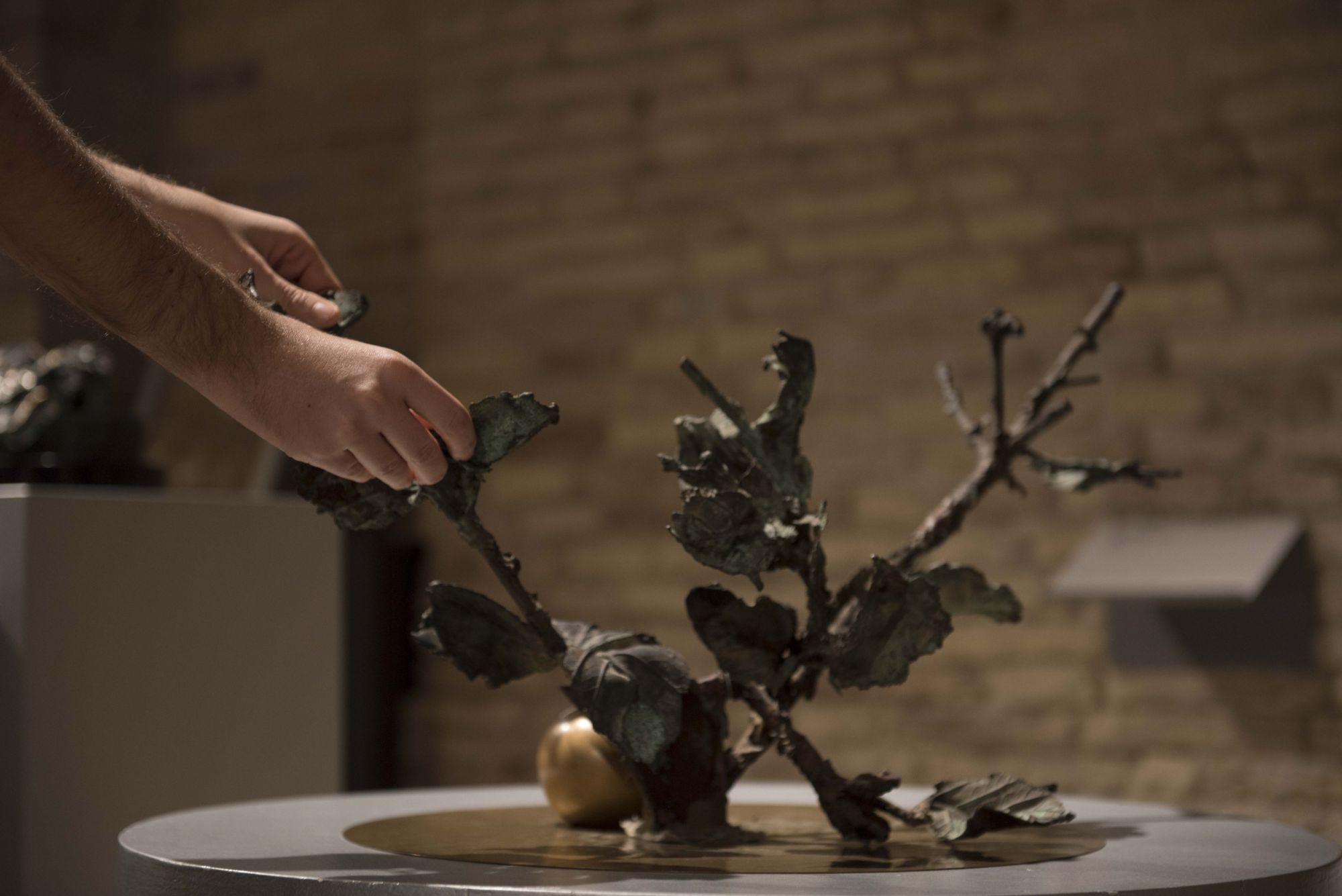 Nella galleria dell'arte contemporanea