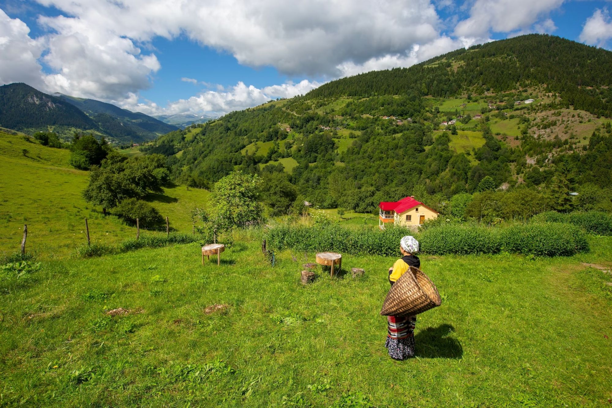 Dirigetevi verso gli altopiani di Ordu o Giresun per assaporare la vita rurale. Kenan TALAS / Shutterstock