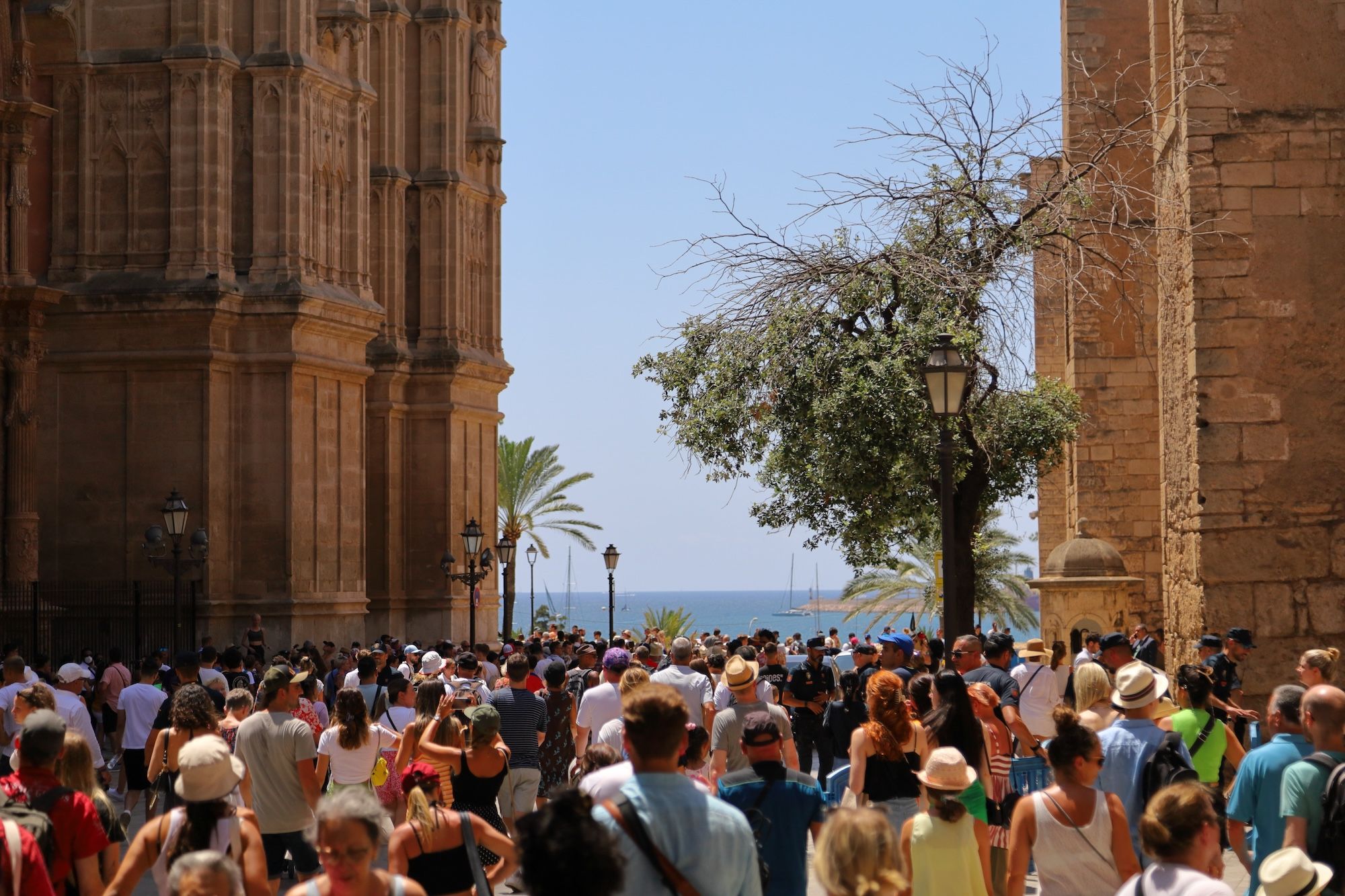 Turisti a Palma di Maiorca © Leif Eirik Skaue /Shutterstock