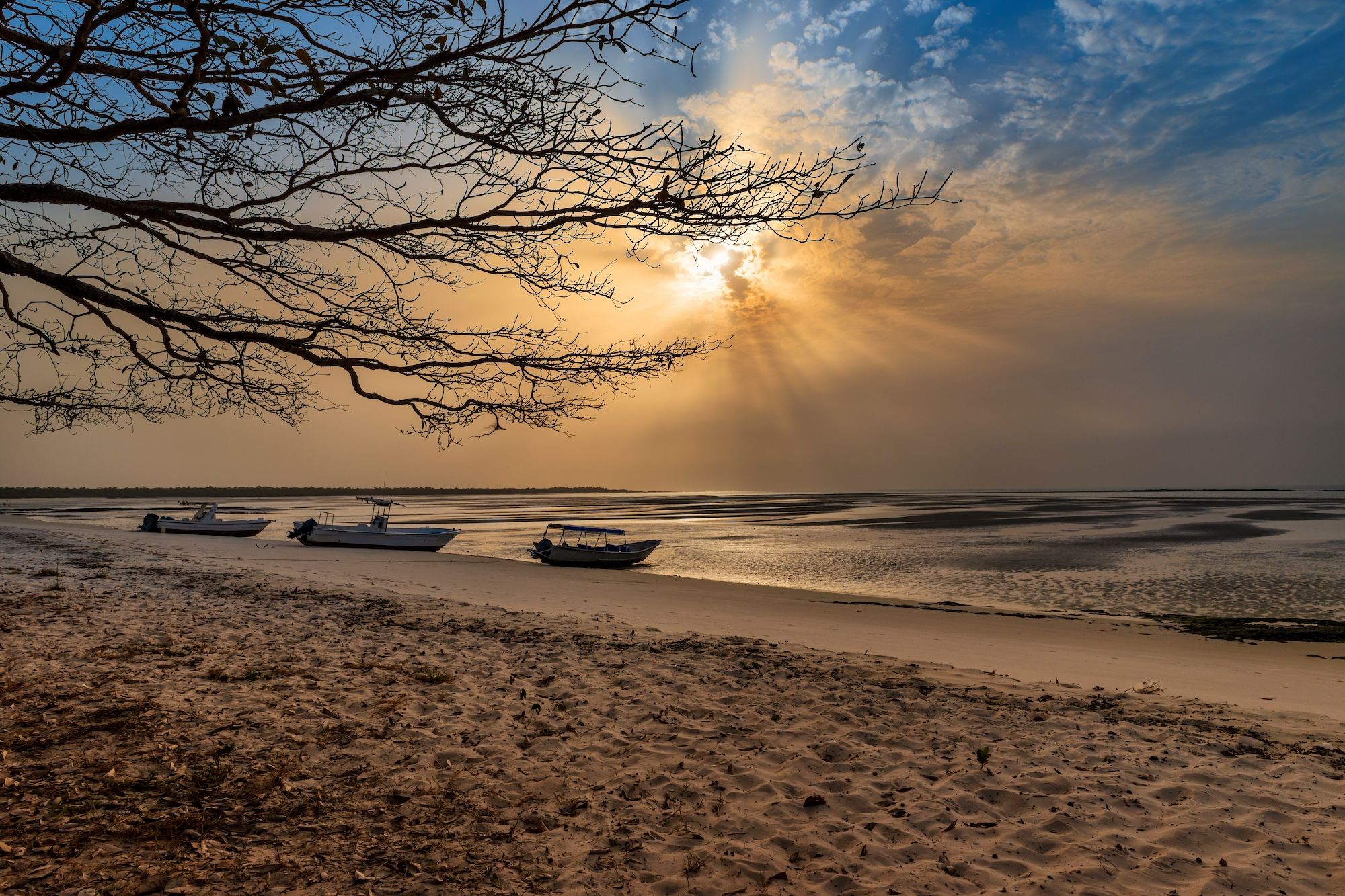 Una spiaggia sull’isola di Orango ©TLF Images/Shutterstock