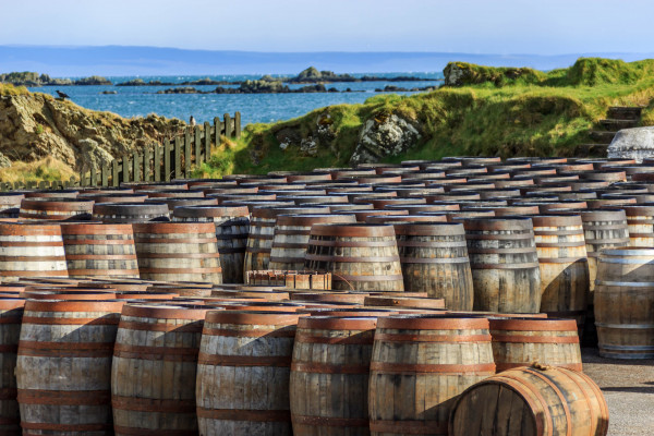 Barili di whisky a Islay  @Rebecca_RCP/Shutterstock