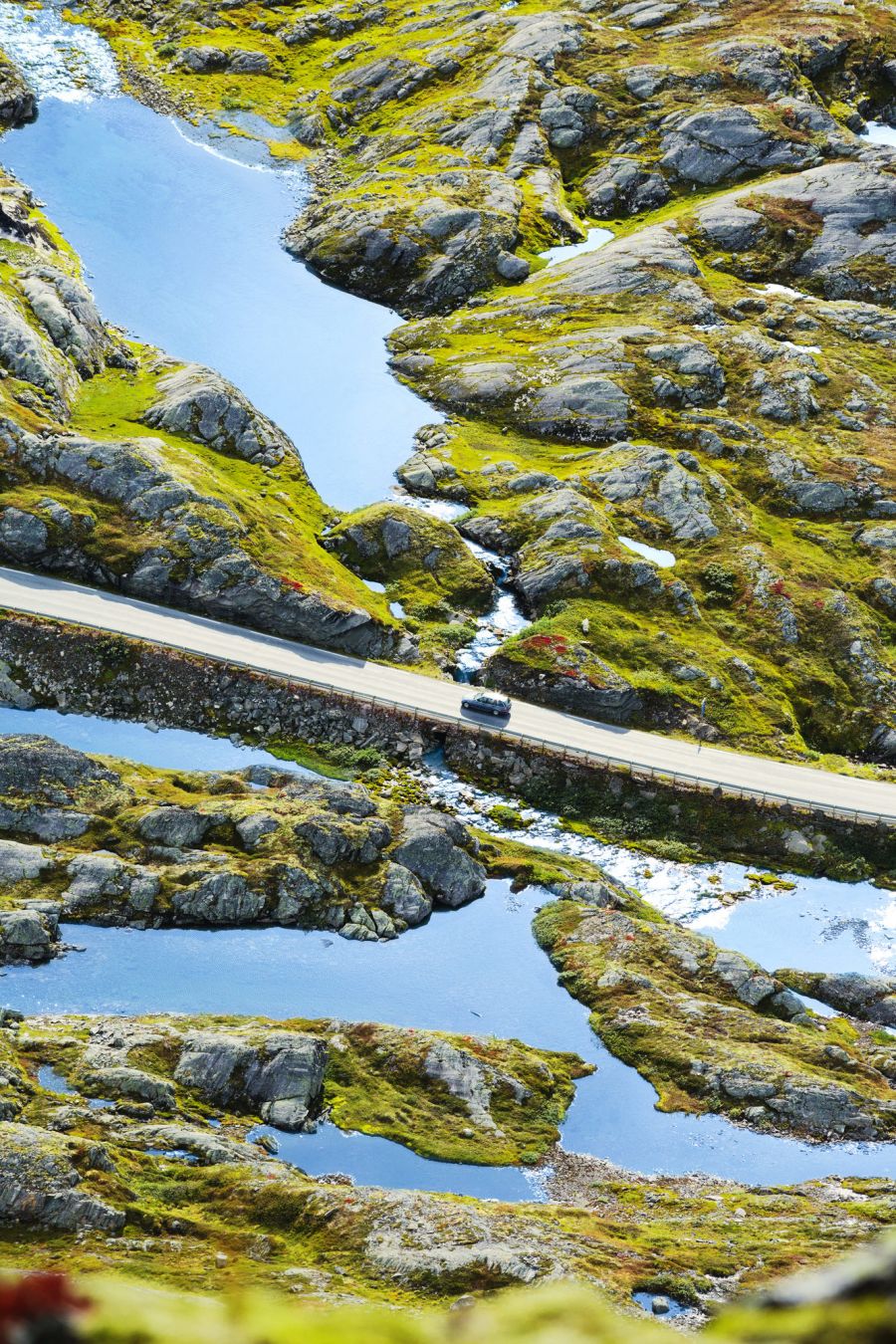 Il paesaggio naturale tra terra e acqua©Jacob Sjöman Svensson / Folio/Getty Images