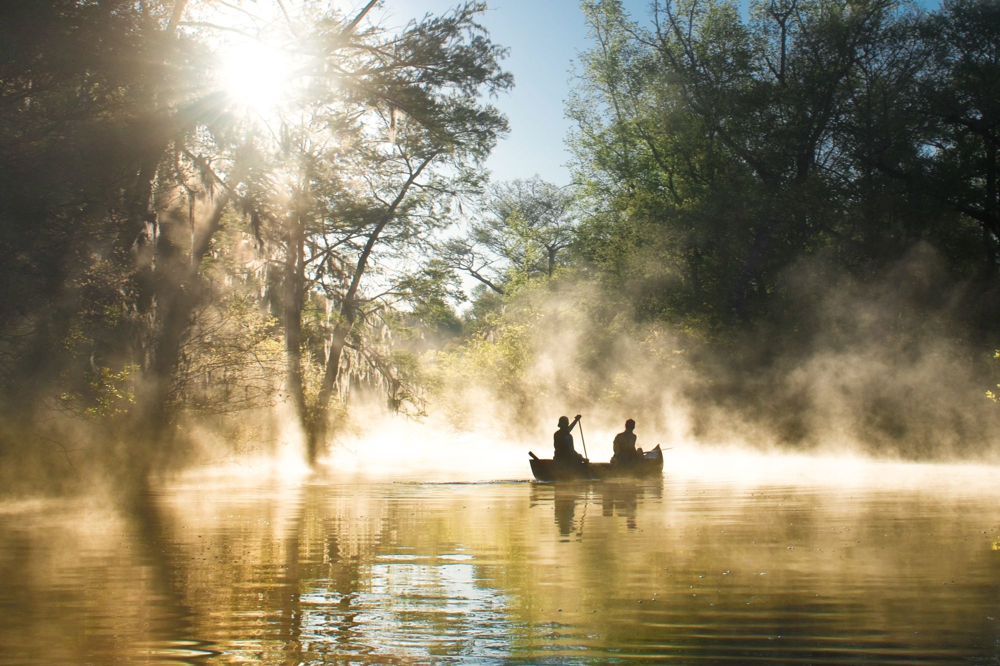 Everglades National Park, Florida