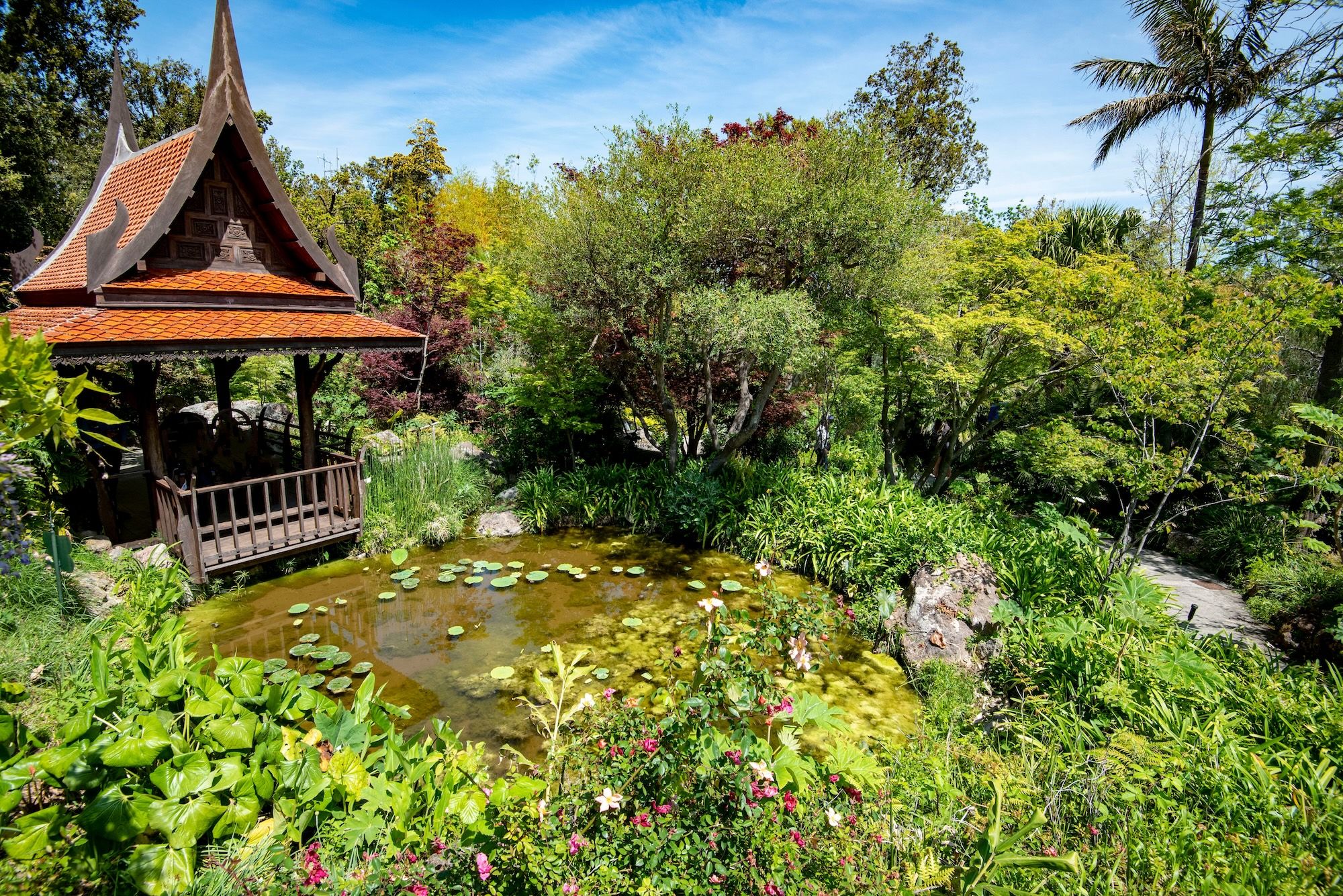 I Giardini la Mortella © Adwo/Shutterstock