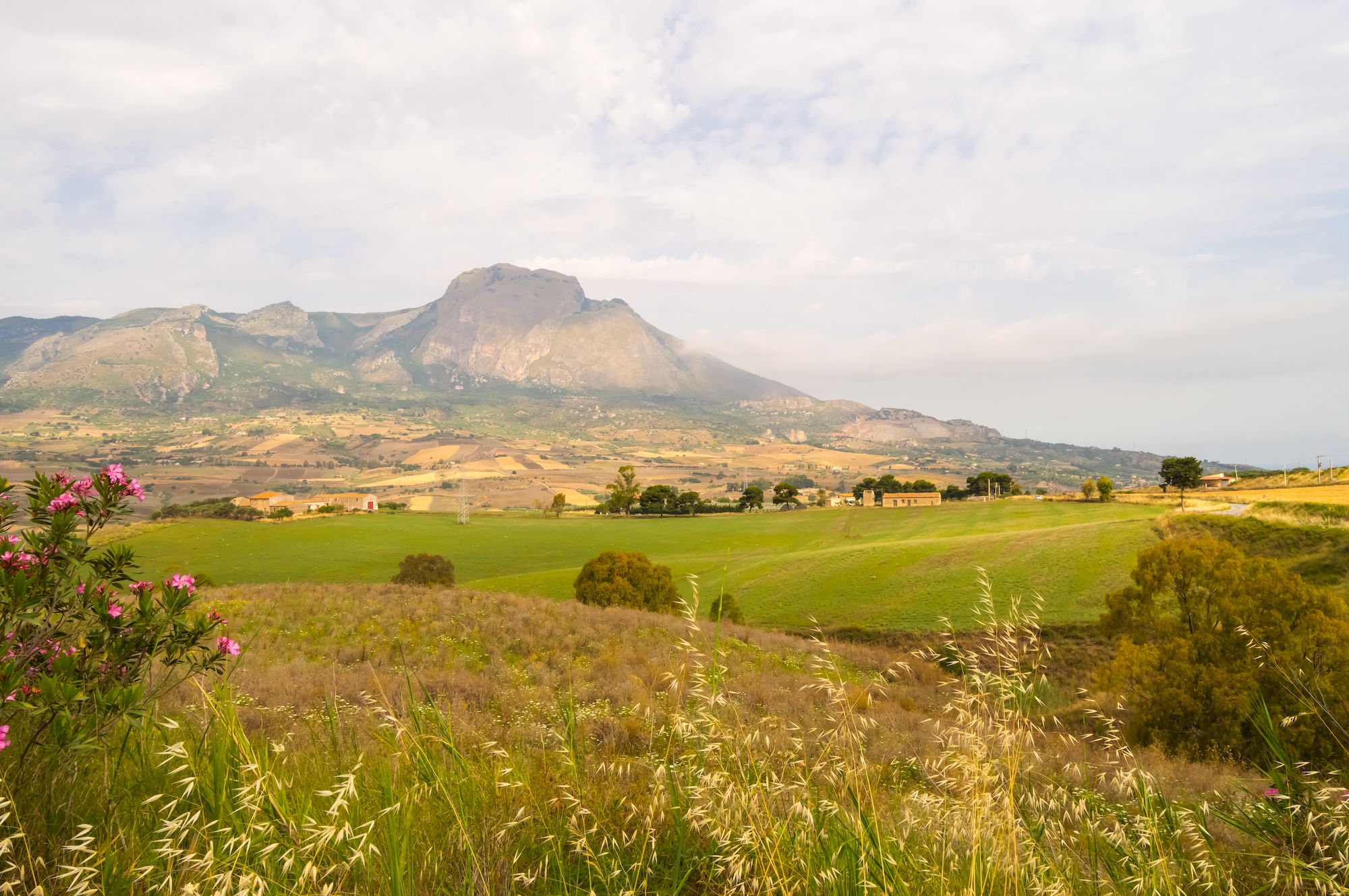La campagna nei dintorni di Cerda ©Philou1000/Shutterstock
