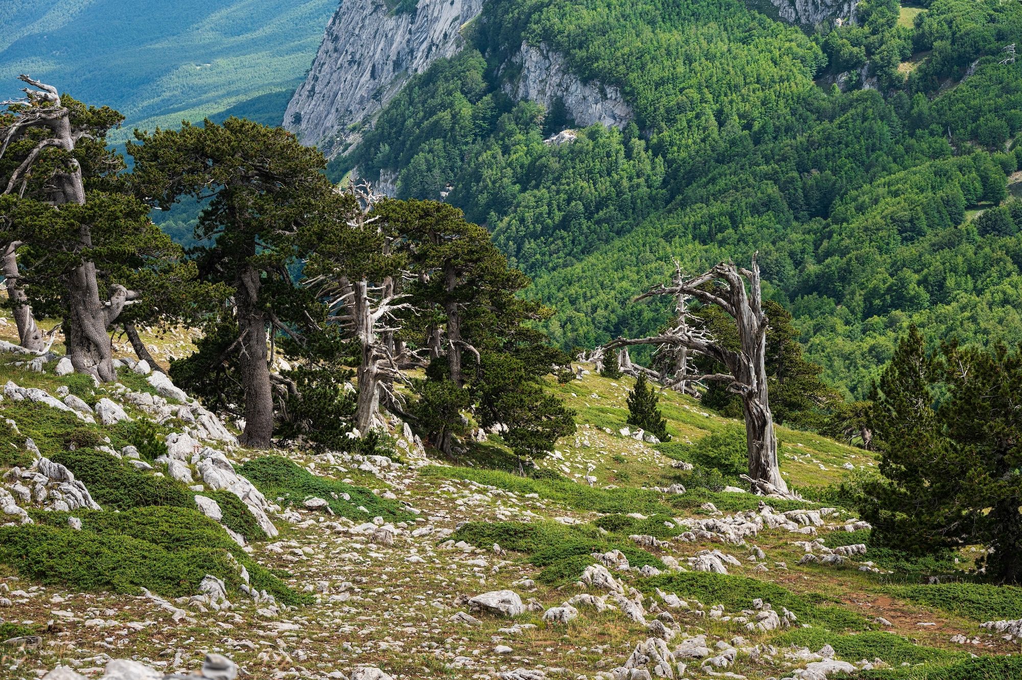 Il Parco Nazionale del Pollino ©MORENO01/Shutterstock