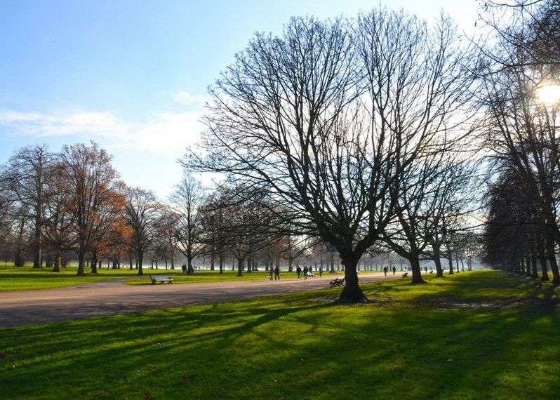Kensington Gardens nacque come riserva di caccia voluta da Enrico VIII © Will Jones / Lonely Planet