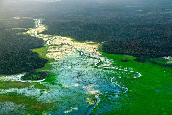 Il fiume Demerara  nella foresta pluviale ©Leonid Andronov /Shutterstock