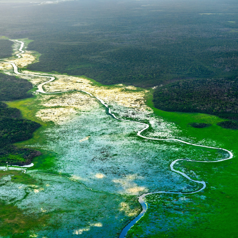 Il fiume Demerara  nella foresta pluviale ©Leonid Andronov /Shutterstock