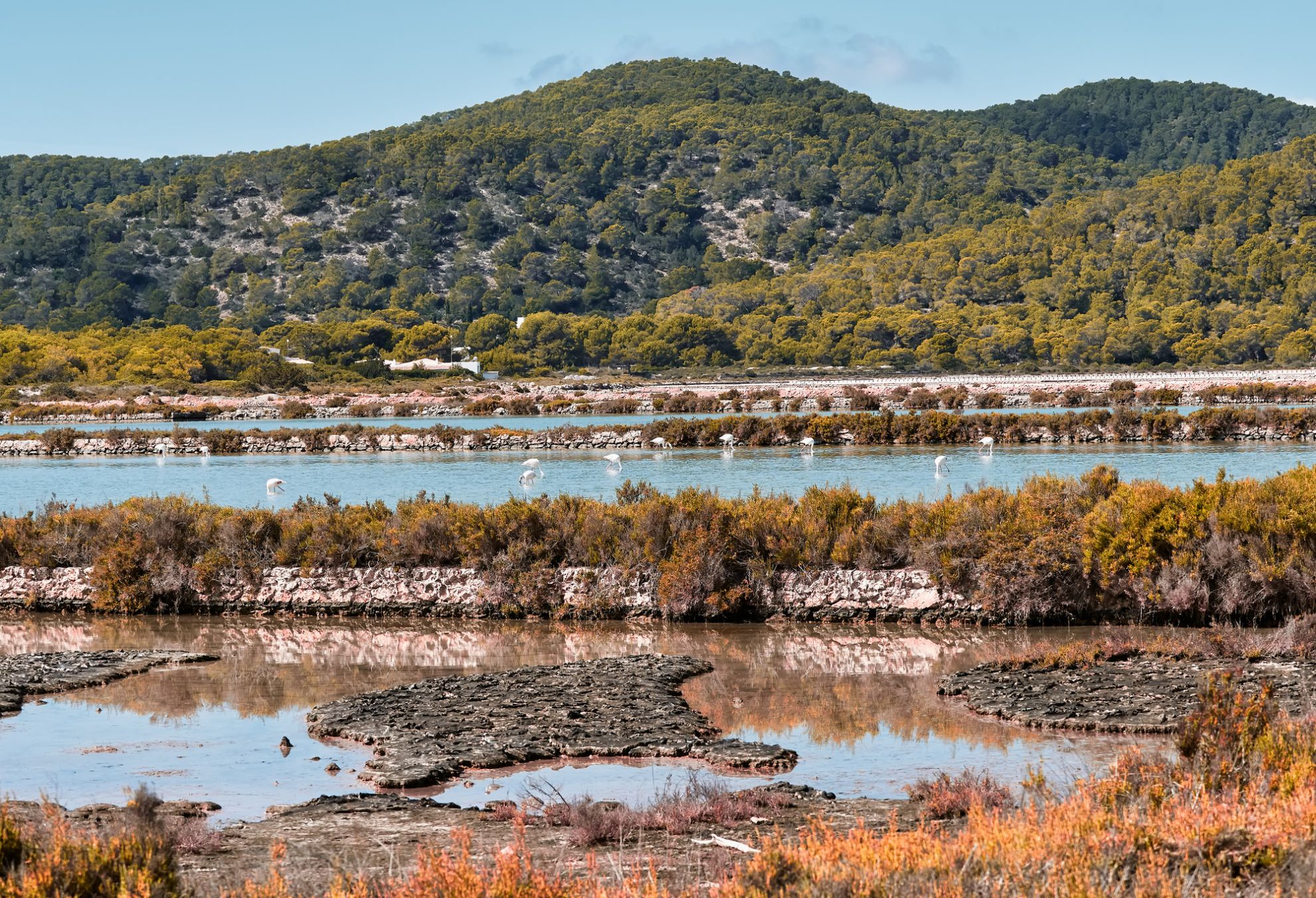 Il Parco naturale di Ses Salines a Ibiza, Spagna © Helena GARCIA HUERTAS/Shutterstock