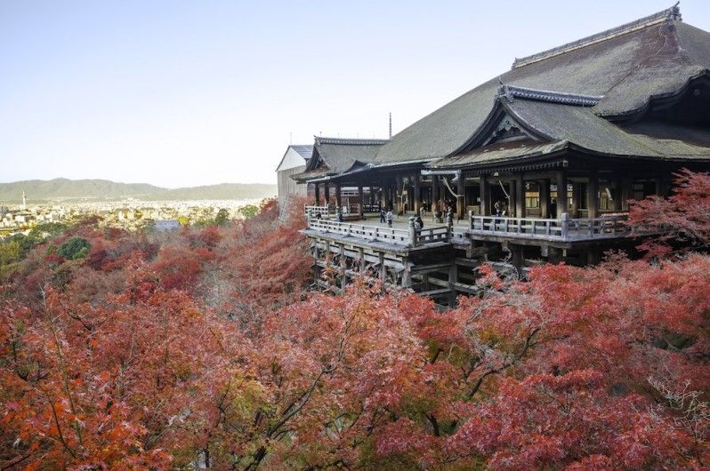 Kyoto, foliage al tempio di Kiyomizu-dera @ EvergreenPlanet