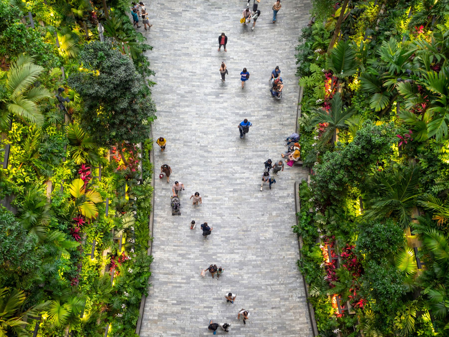 L'aeroporto Changi a Singapore © Jakub Zajic / Getty Images