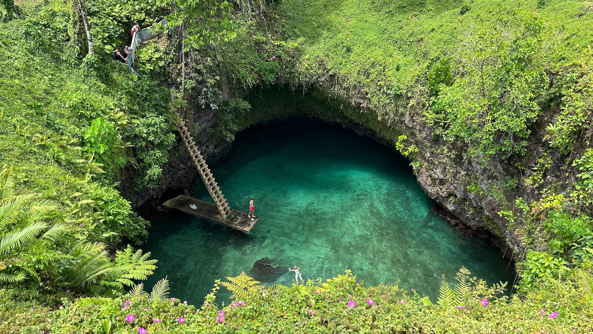 il To-Sua Ocean Trench nella foresta pluviale delle Samoa ©Popo’s / Shutterstock