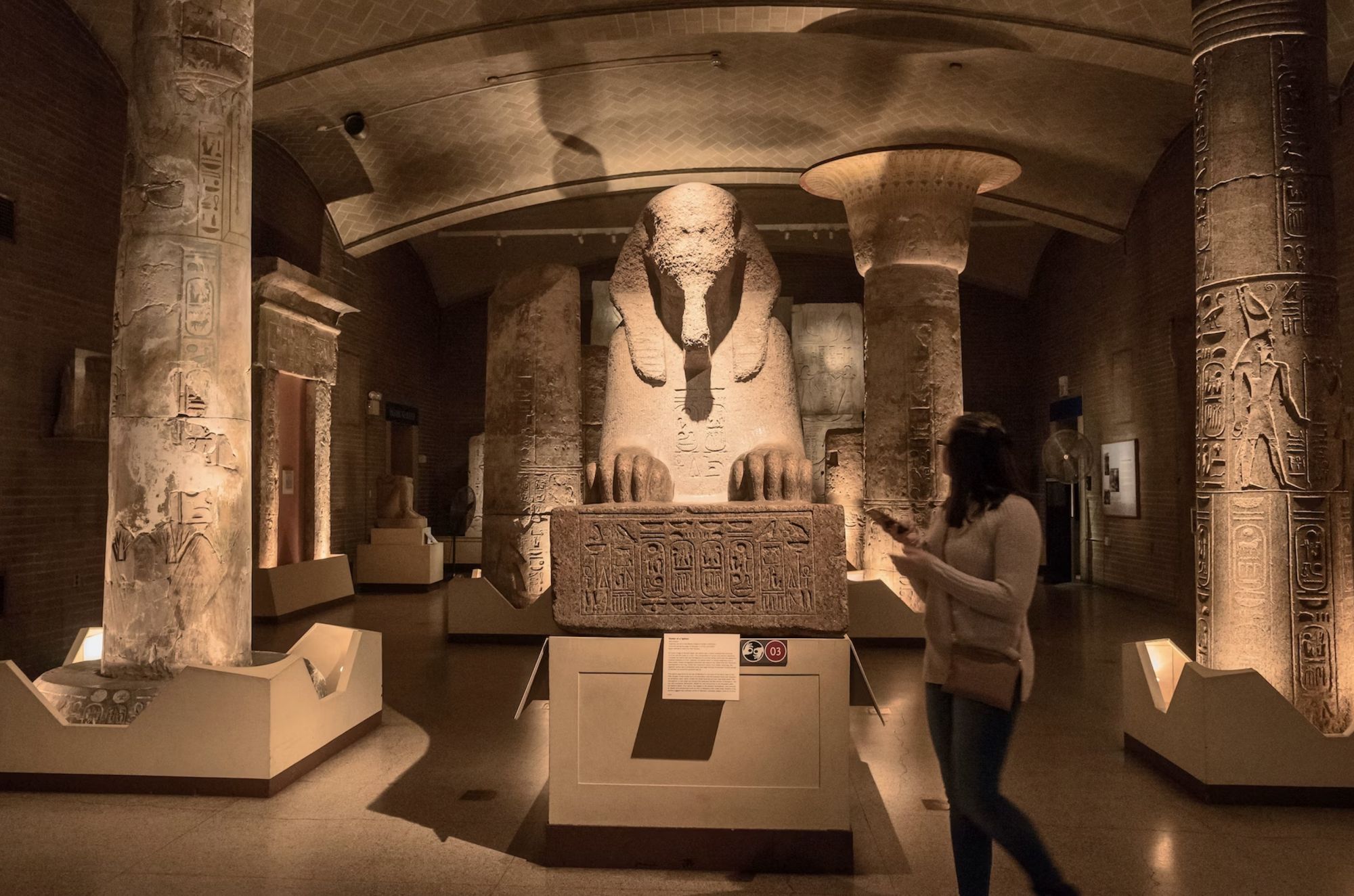 La Sfinge di Ramses II, vecchia di 3000 anni, si trova al Penn Museum © Norman Wharton / Alamy