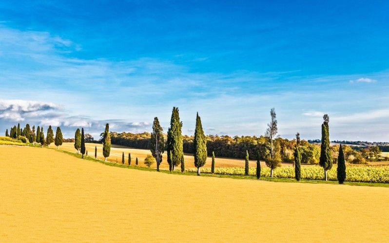 La campagna toscana, una sicurezza; fotografia © pegasophoto, iStock
