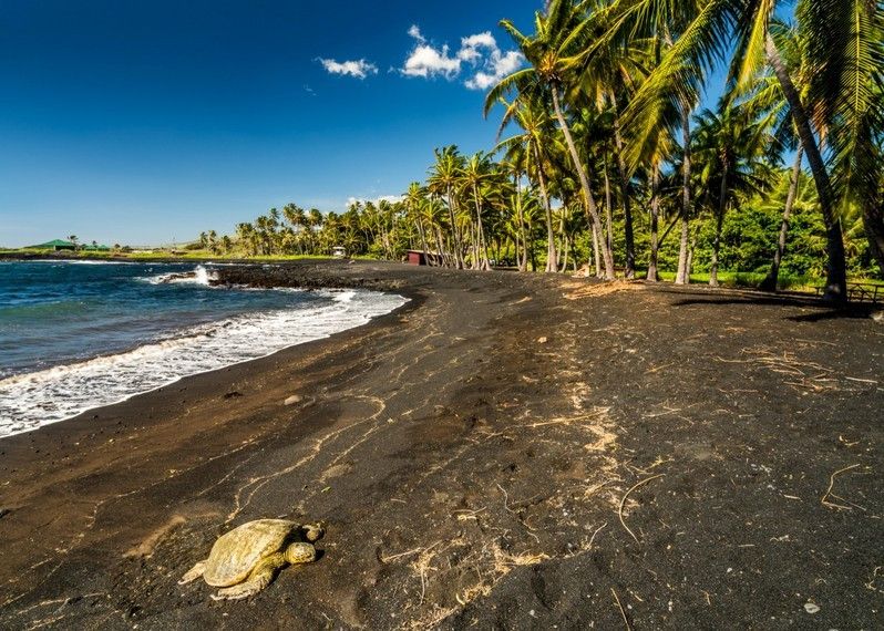 La famosa spiaggia nera di Punalu, Hawaii, USA.
©Matt Anderson Photography/Getty Images