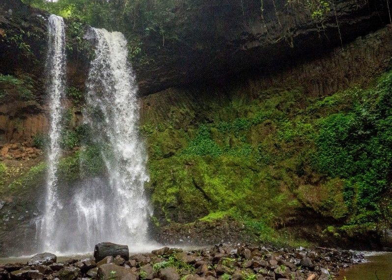 La giungla a Mondulkiri, Cambogia