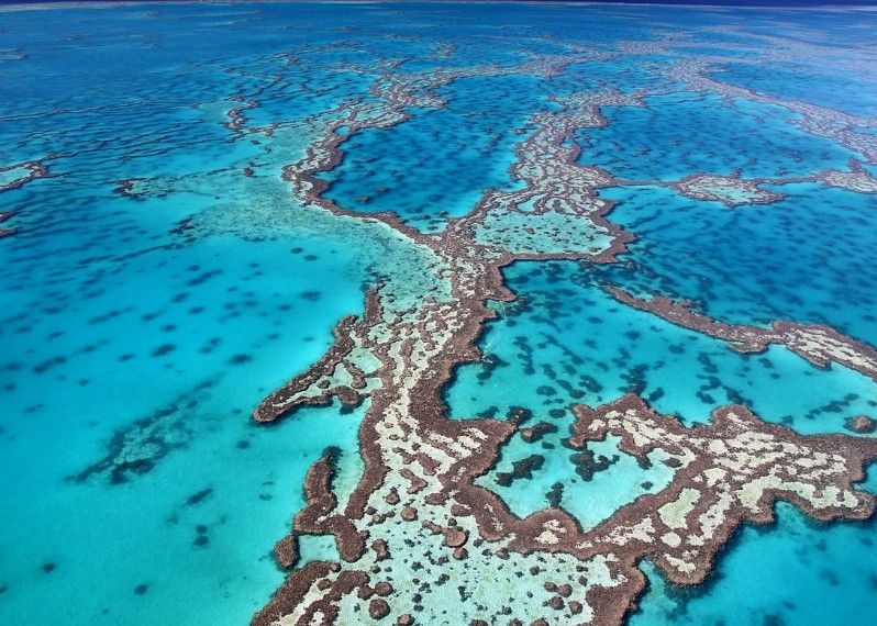 La Grande Barriera Corallina si estende per 2000 chilometri lungo le coste del Queensland, con splendidi coralli, tartarughe marine e pesci tropicali.