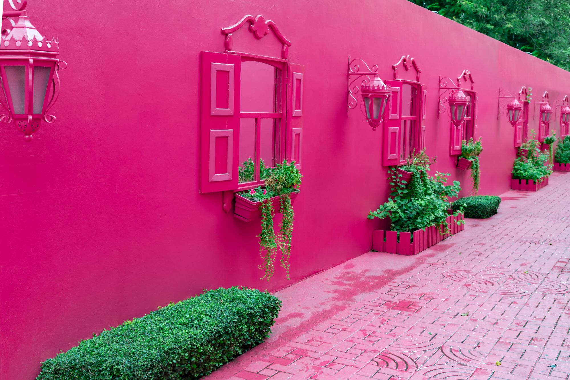 Pink Street, Repubblica Dominicana