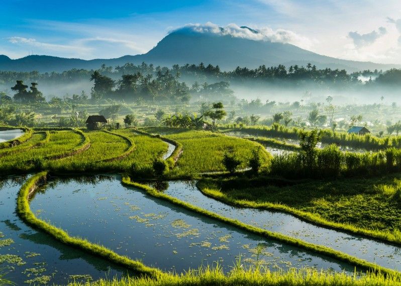 L'alba a Tirta Gangga, Bali
©John Harper/Getty Images