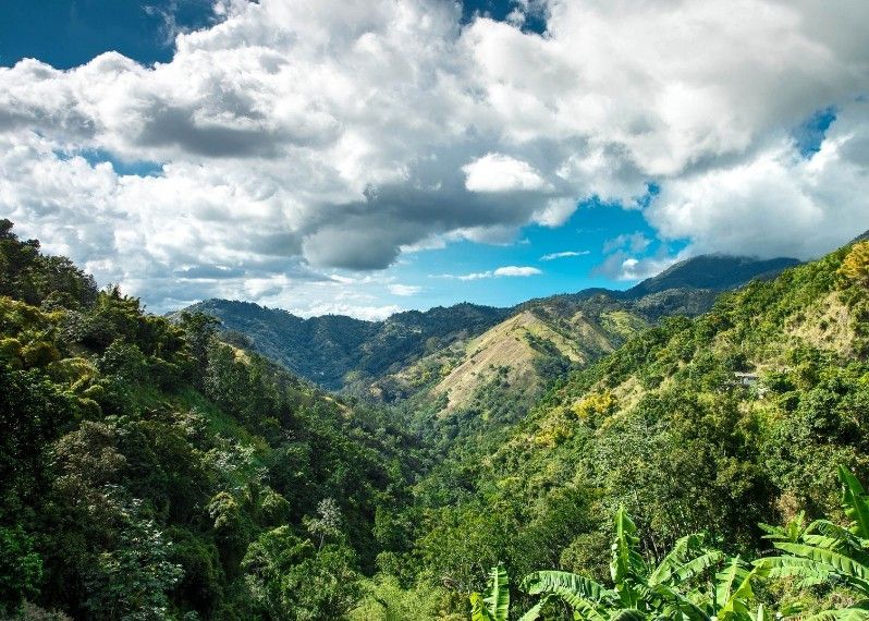 Le Blue Mountains, Giamaica. ©David Neil Madden/Getty Images