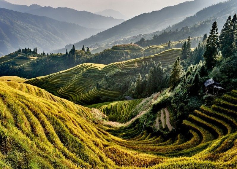 Le colline della regione dell'Hunan, Cina.
©ostill/Shutterstock