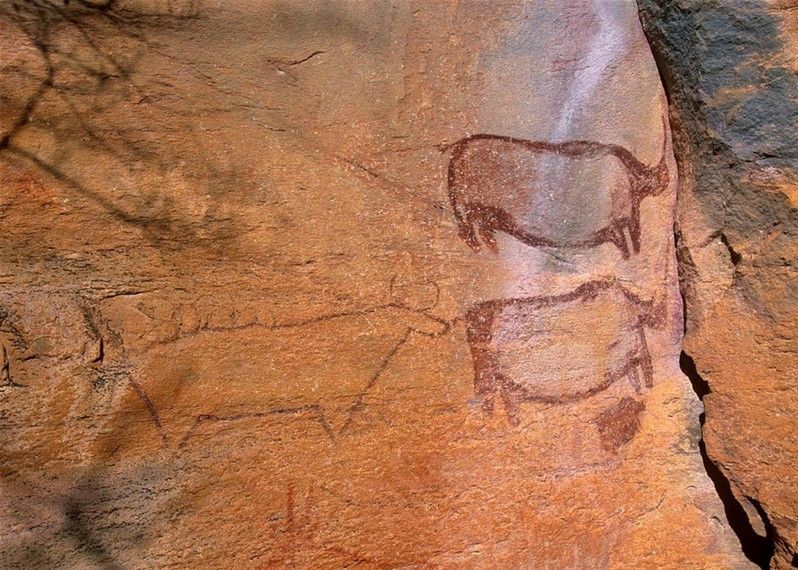 Le incisioni rupestri delle Tsodilo Hills in Botswana, sito del Ngamiland dichiarato dall’UNESCO Patrimonio dell’Umanità © Patrick Dieudonne / Getty I