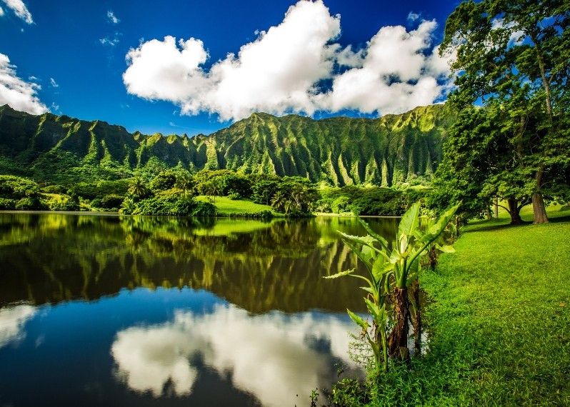 Le meraviglie naturali delle Hawaii sono uno spettacolo alla portata di tutti, Ho'omaluhia Botanical Garden a Kaneohe.
©Shane Myers Photography/Shutt