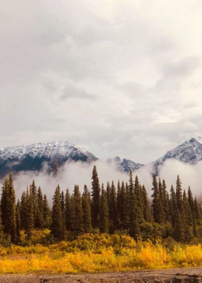 Le nuvole si diradano e mostrano la cima del Monte Denali (o McKinley), Alaska.