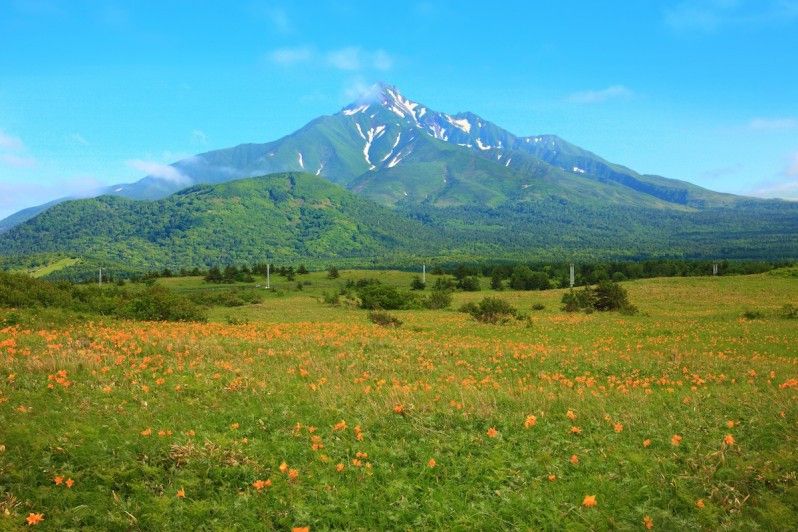 Le ripide pendici vulcaniche del Rishiri si alzano su un campo di fiori sull'isola di Hokkaidō, Giappone. © Seigo Yamamura/Aflo / Getty Images
