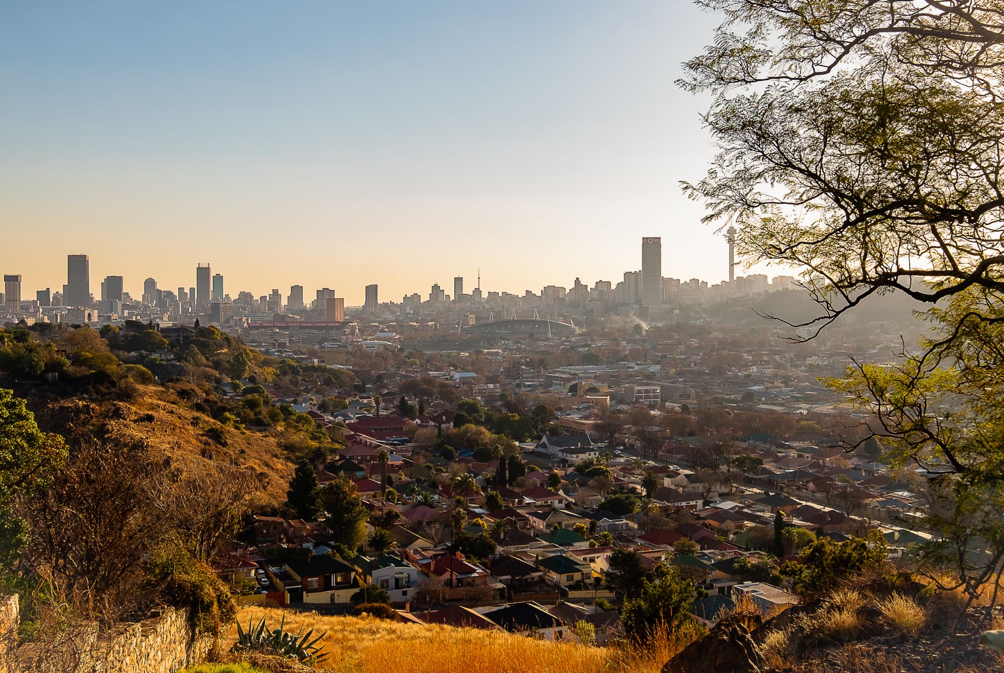 Johannesburg, la linea di confine tra natura e città. Credits Mark G Williams / Shutterstock