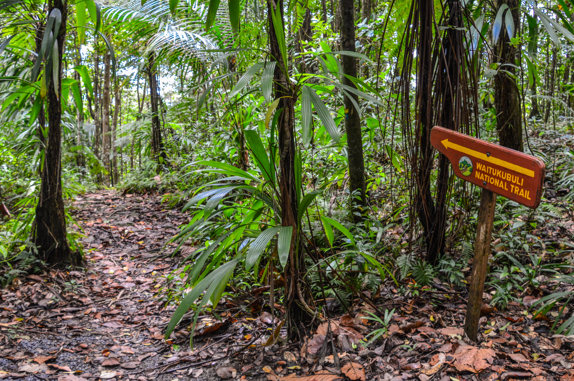 trekking dominica