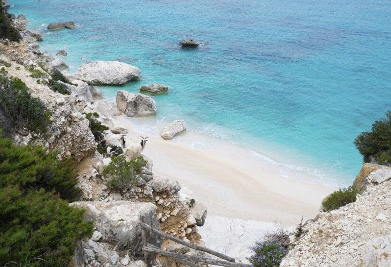 Lo sforzo di raggiungere Cala Goloritzè è la metà del divertimento. Foto di Elisalocci/iStock/Getty Images