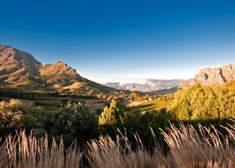 Lo spettacolare paesaggio vinicolo del Boland, Sudafrica.
©Gary Latham/Lonely Planet