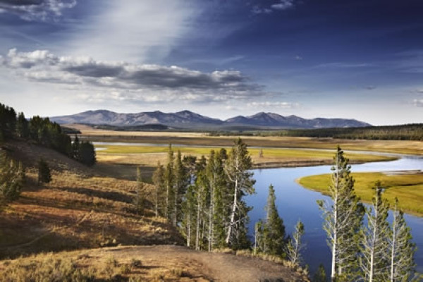 Yellowstone National Park: strade panoramiche