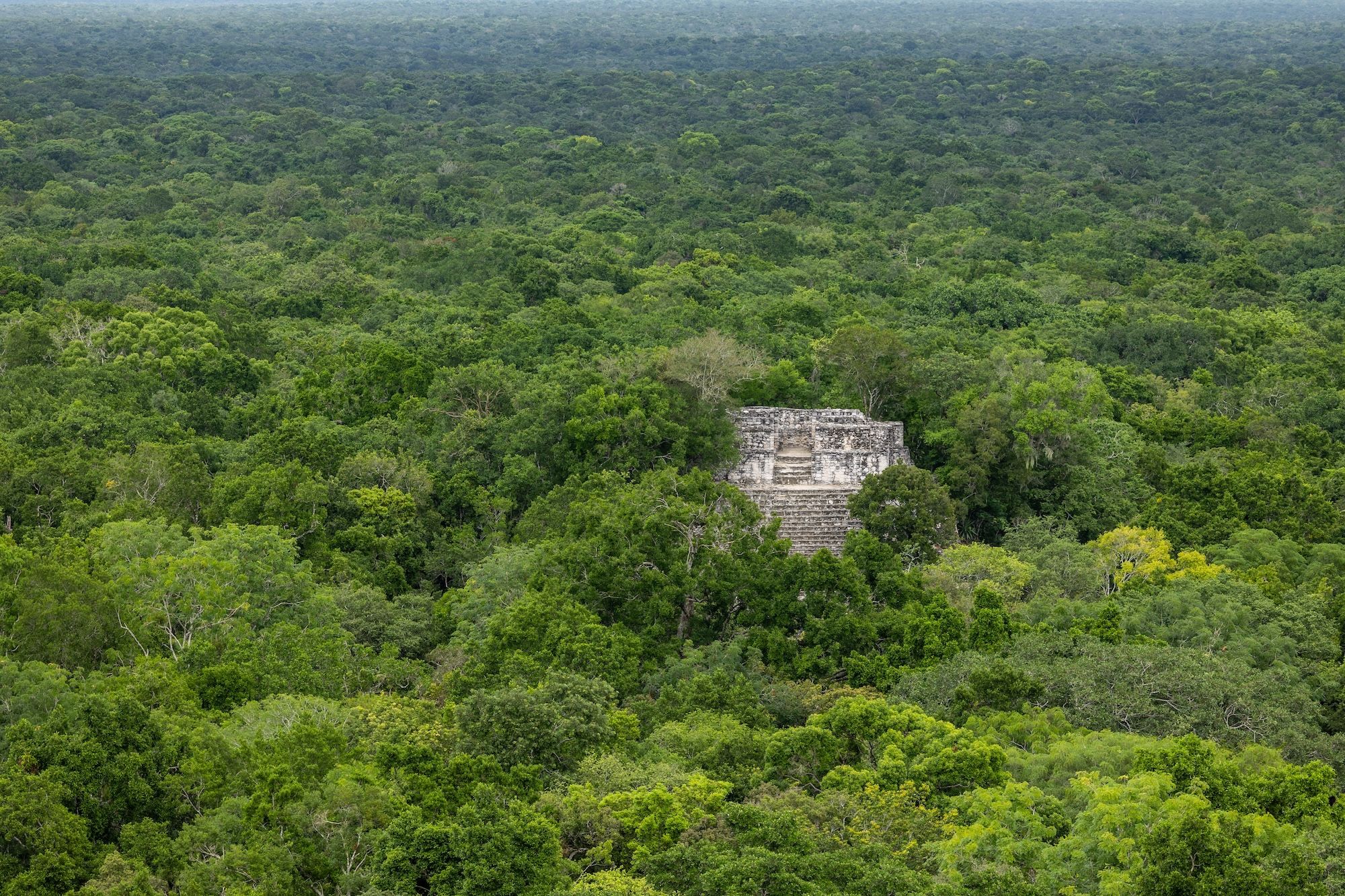 Rovine maya nella giungla messicana ©Jonas Gruhlke/Shutterstock