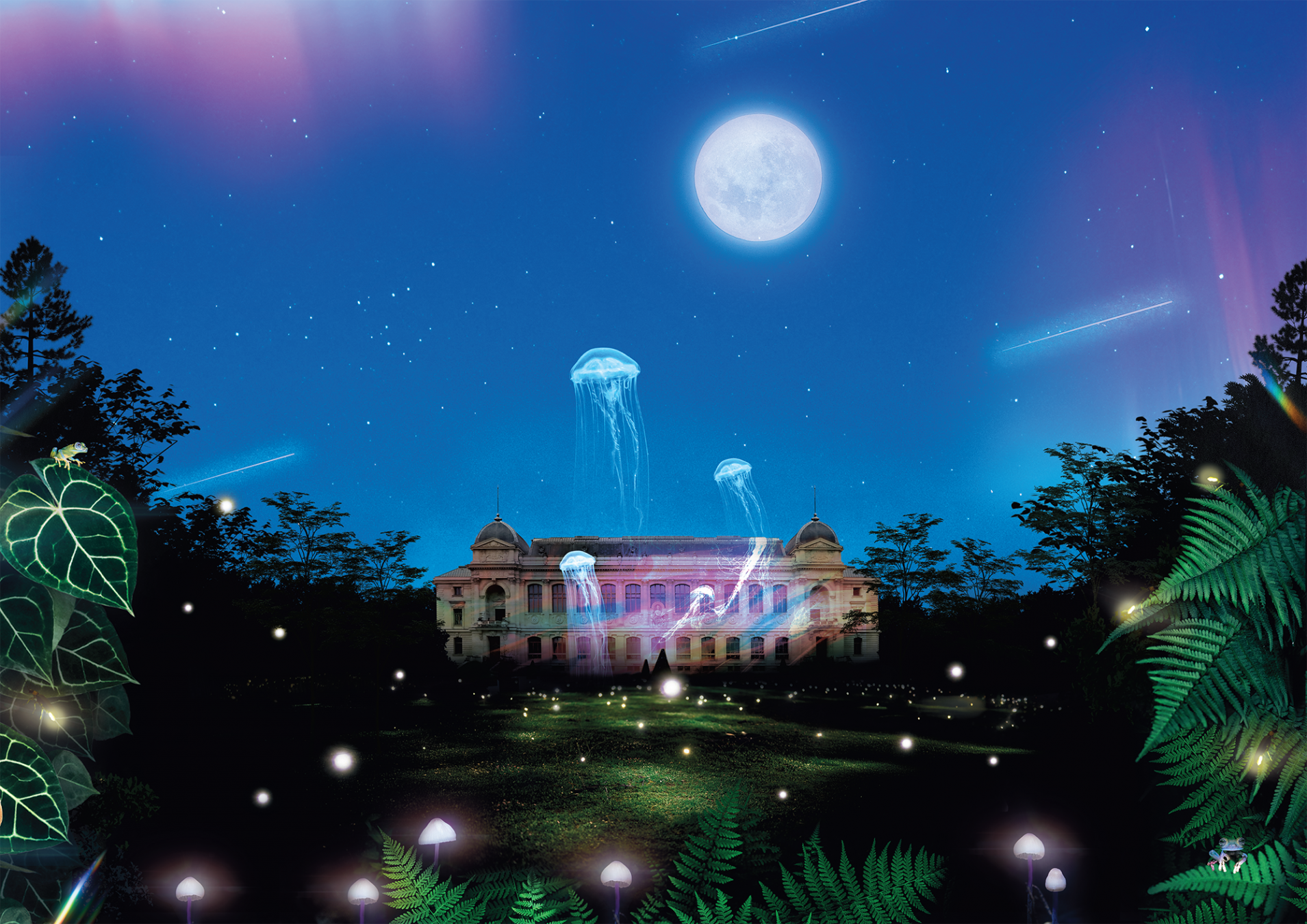 L'esposizione “En voie d'illumination: Lumières de la Nature” è dedicata ai fenomeni luminosi presenti in natura ©Nouvelle Cuisine