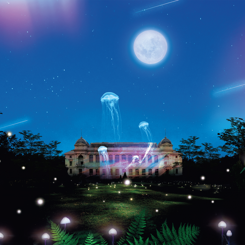 L’esposizione “En voie d’illumination: Lumières de la Nature” è dedicata ai fenomeni luminosi presenti in natura ©Nouvelle Cuisine