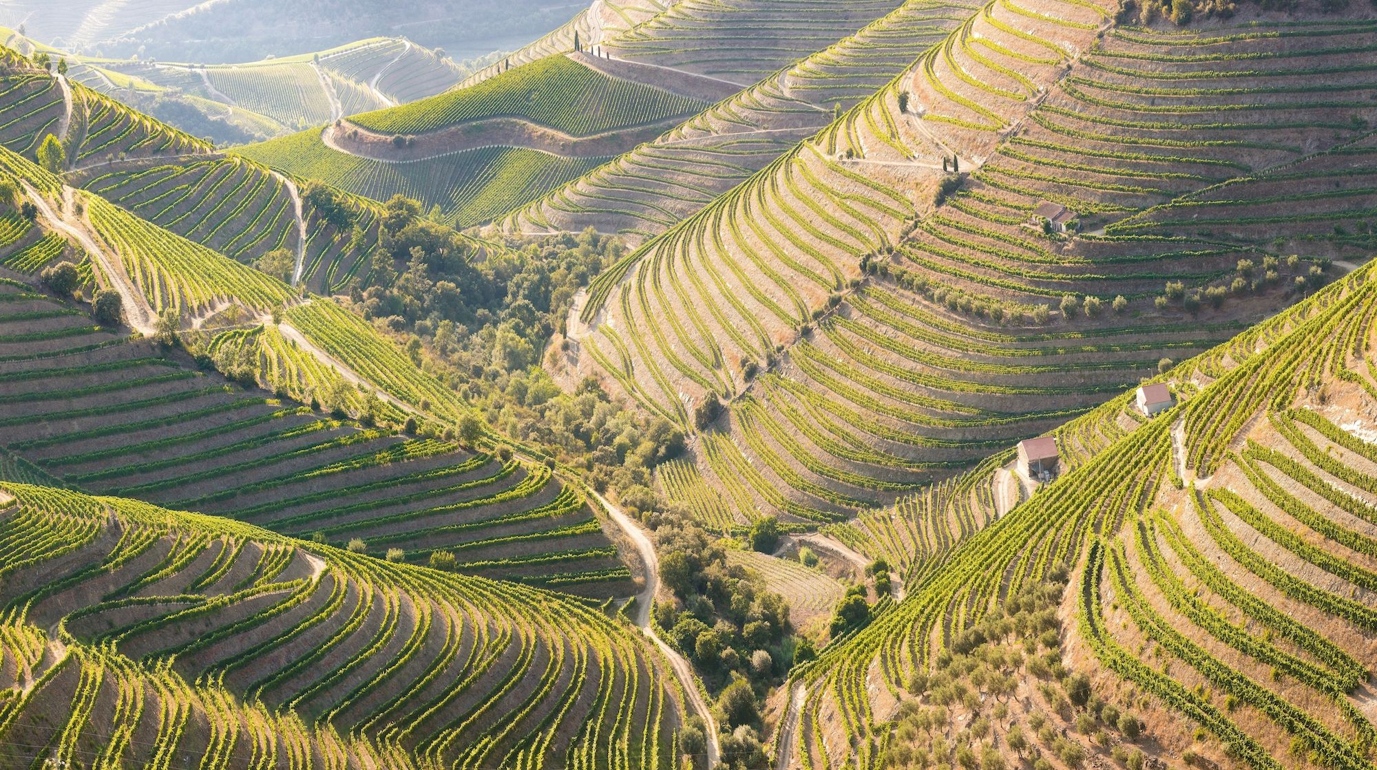 On the road nella Valle del Douro ©Michal Balada