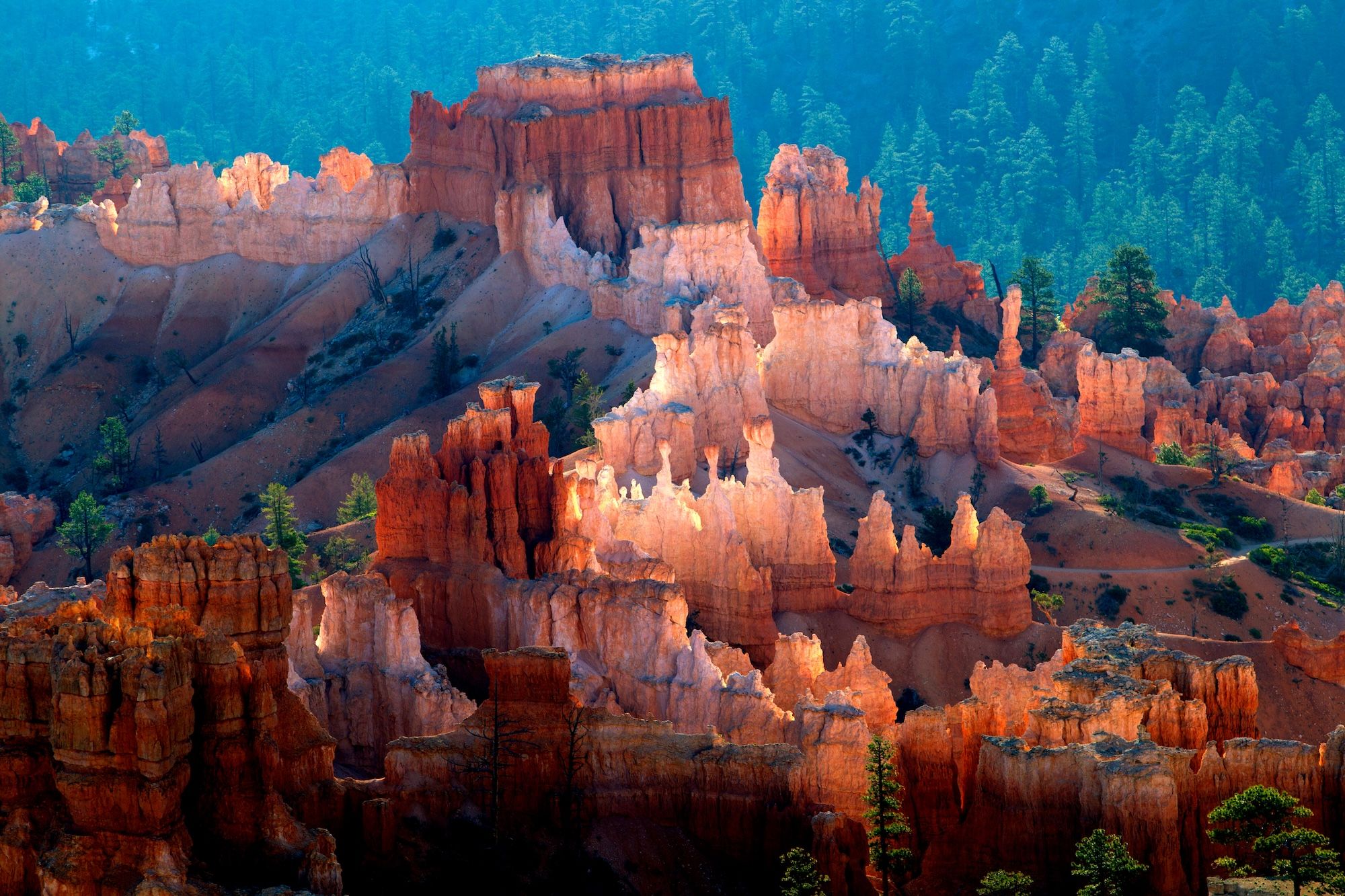 Il Bryce Canyon National Park, in Utah ©Gaston Piccinetti /Shutterstock