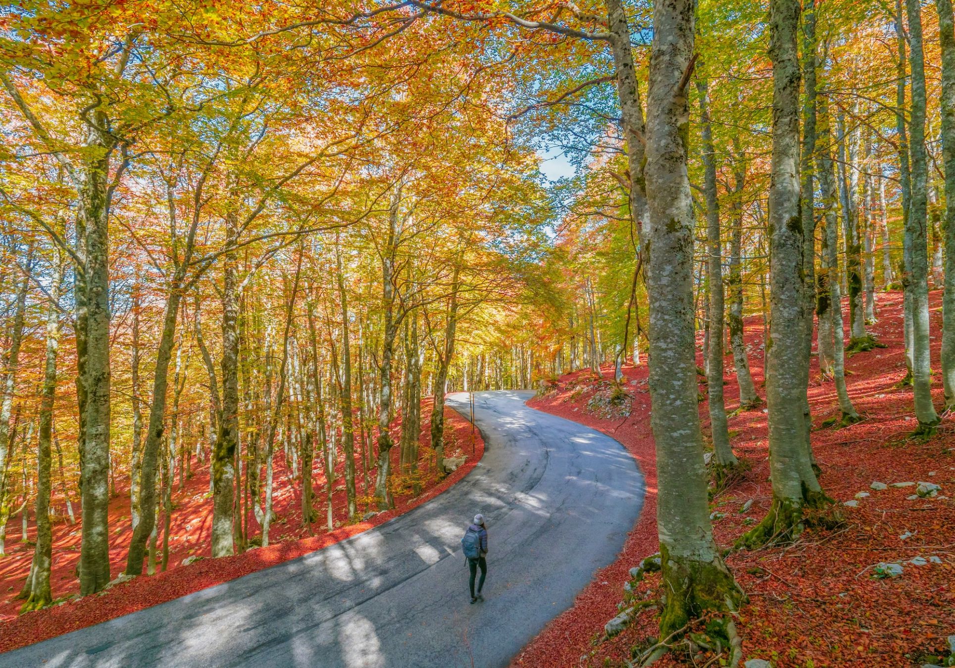 Foliage tra i boschi d’Abruzzo © ValerioMei / Shutterstock