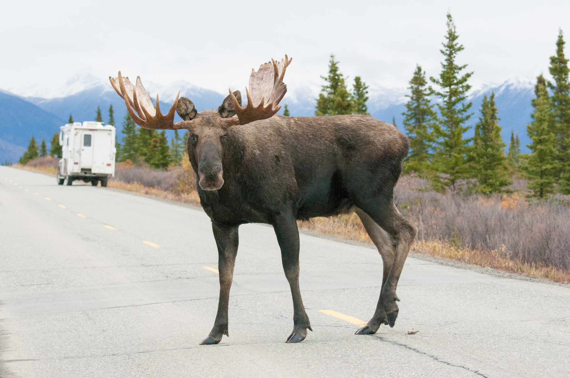 On the road in Alaska