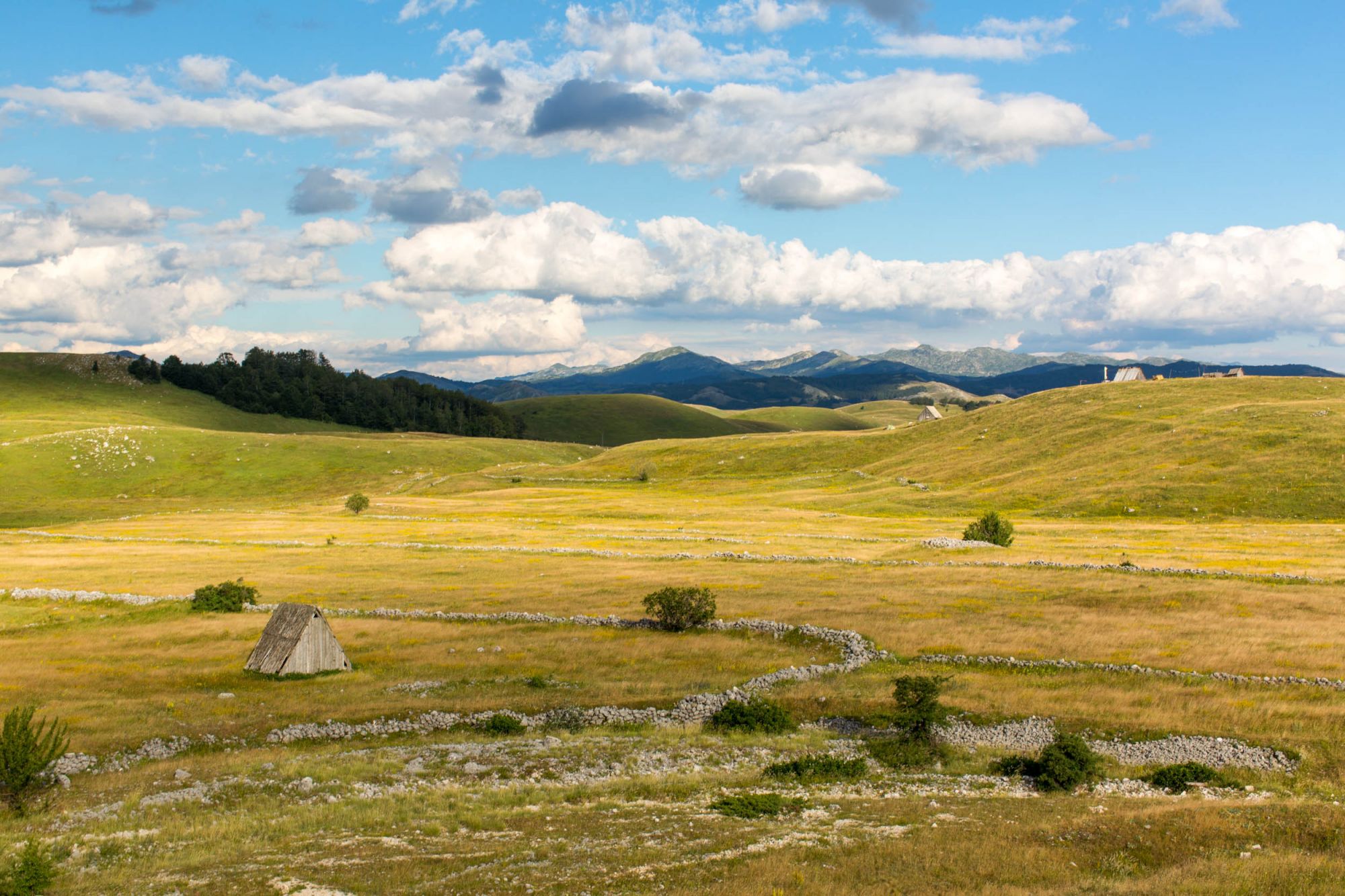Godetevi i sentieri e i paesaggi sempre diversi © Mattia Marinolli/Lonely Planet Italia