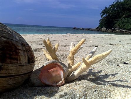 Malaysia, Turtle Beach a Pulau Perhentian Besar - fotografia di Giovanni Ettolli
